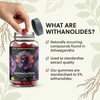 Ashwagandha Gummies 1200mg – 150 Gummies – 2.5 Months Supply