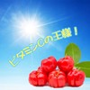Lipsa Acerola C-147-2 (90 capsules x 2 bags), Supplement, Vitamin