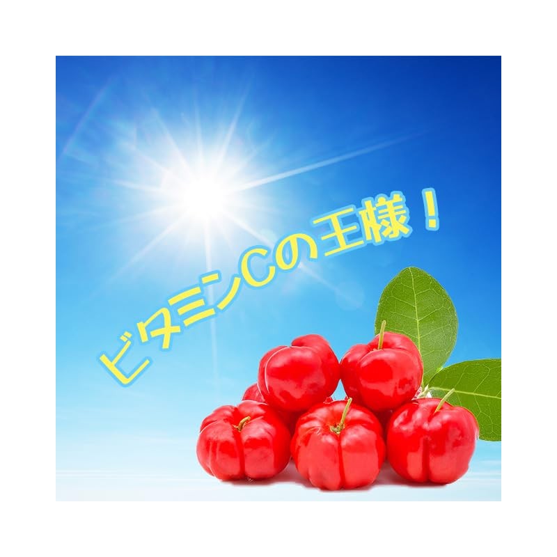 Lipsa Acerola C-147-2 (90 capsules x 2 bags), Supplement, Vitamin