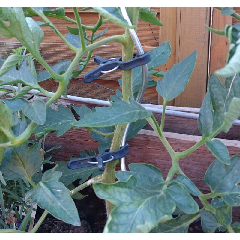 mumbi 80x Plant Clips Plant Clips Plant Holder Plant Ties