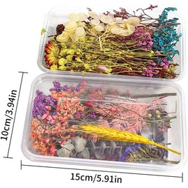 Flores secas de Resina Flores Decorativas prensadas Naturales Mixtas para la fundición de epoxi Bricolaje 2 Piezas ..