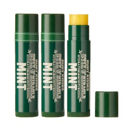 Ruby Kisses Stix O' Miracle Lip Balm, Maximum Strength Lip Revitalizer (Mint, 3 Count)