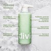 Divi Hydrating Shampoo & Conditioner for Normal to Thicker Hair