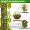 DUSPRO DIY Moss Pole Kit, Metal Moss Pole for Plant