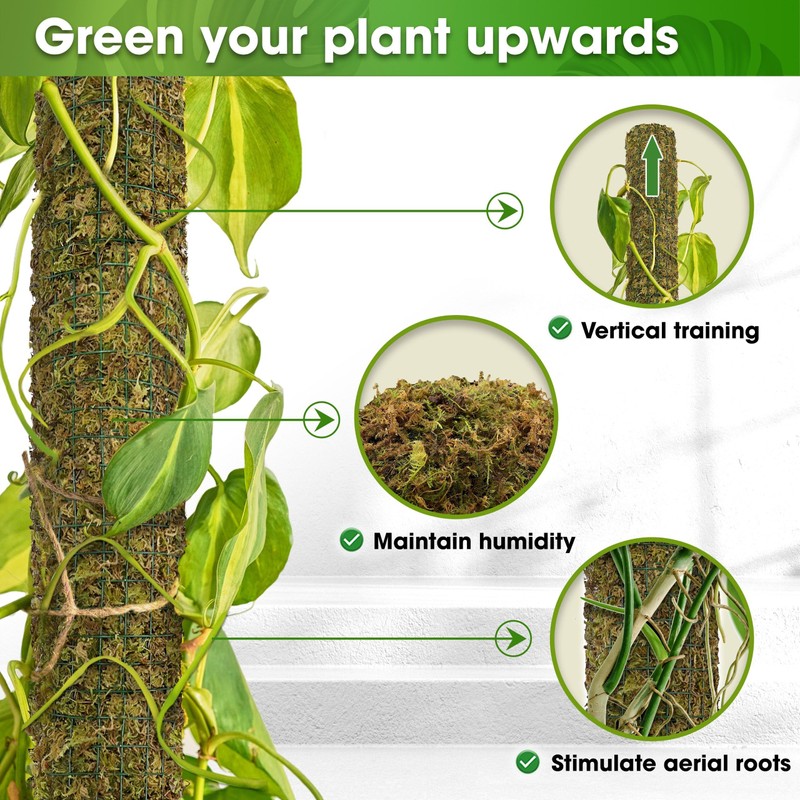 DUSPRO DIY Moss Pole Kit, Metal Moss Pole for Plant