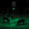 Moultrie Feeder Hog Light - 35 Green LEDs, 30-Foot Illumination,