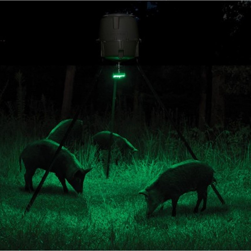 Moultrie Feeder Hog Light - 35 Green LEDs, 30-Foot Illumination,