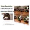 Vitisyao Tortoise Treat Ball, Hay Feeder Ball for Small Animals,