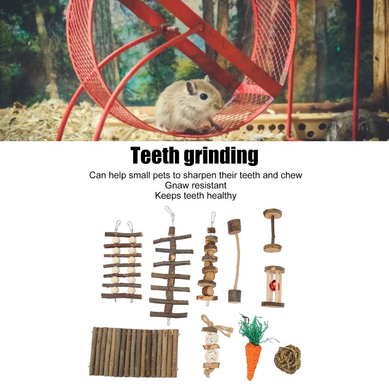 10pcs Hamster Chew Toys Set Natural Safe Teeth Grinding Exercise