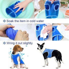 Dog Cooling Coat, Breathable Adjustable Summer Cooling Vest for Small, Lightweight Dog Sunscreen Protection for Outdoor Walks, Hiking & Training, Keeps Pets Cool (M)