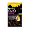 Garnier Garnier Olia Hair Colour Dark Brown 4.0