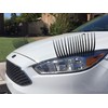 CarLashes for Ford Focus (1998-present) (also Escort, Fiesta) - 3D