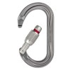 PETZL Ok Screw Lock Grey - Lightweight Oval Aluminium Safety