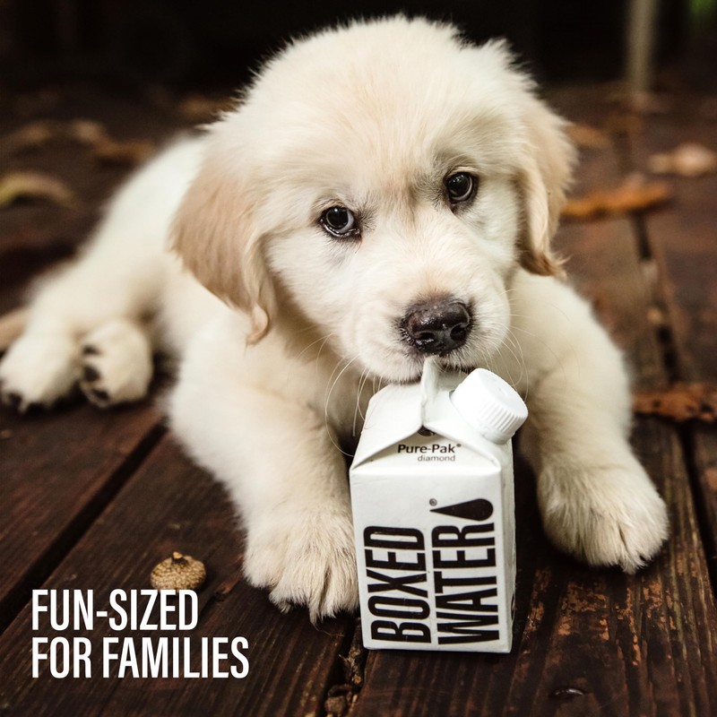 Mini Boxed Water (8.4 oz., 24 Pack) – Better Than