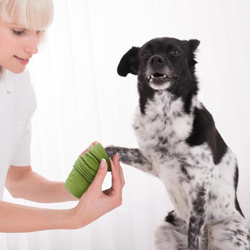 ROZKITCH Pet Dog Elbow Protector Dog Elbow Sleeve, 2PCS Front