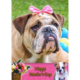 Bulldog Dog Mothers Day Card