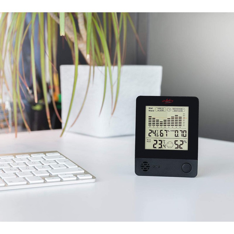infactory Mould Alarm: 2-in-1 Thermometer & Hygrometer, Room & Wall