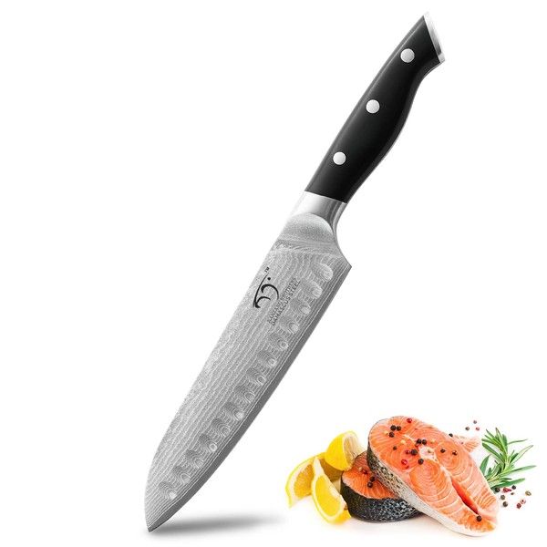 Santoku Knife 7 inch, Professional Chef's Knife Forged with Japanese VG10 Super Steel 67-Layer Damascus, Non-Slip ABS Ergonomic Handle, Razor Sharp Lightweight Multipurpose Full Tang Gift Box