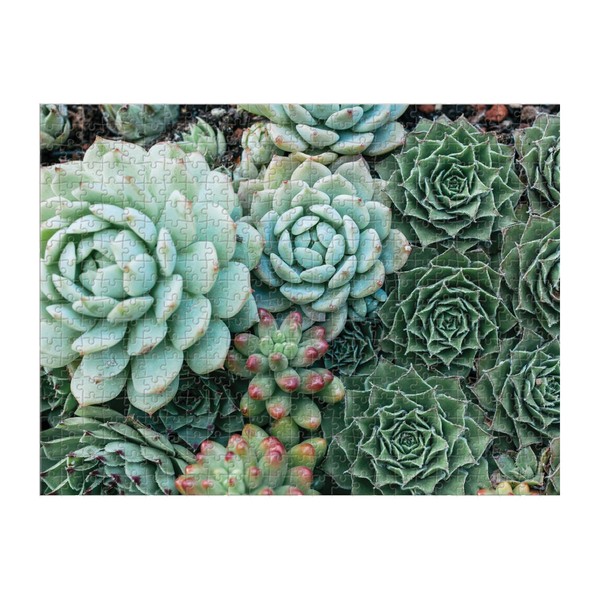 Galison Succulent Garden 500 Piece Double Sided Jigsaw Puzzle for Adults and Families, Fun Family Puzzle with Plants and Succulent Theme