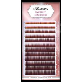 Alluring Dark Brown Brow Extensions Natural Curl Mixed Size from 4mm to 8mm
