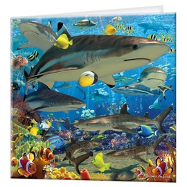 3D LiveLife Greeting Card - Shark Reef from Deluxebase. Lenticular 3D Blank Greeting Cards with Envelopes. Shark All Occasion Greeting Cards featuring Original Artwork by David Penfound.