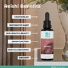 KAAPA MUSHROOMS Organic Reishi Mushroom Extract Tincture | Unique &