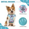 KOOLTAIL Dog Harness and Leash Set for Small Medium Dogs,