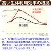 大切な亜鉛 4ヶ月分 1日1粒 グルコン酸亜鉛不使用 亜鉛 サプリメント 妊活 zinc (約8ヶ月分（2袋）)