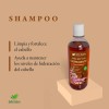 Shampoo Cacahuanache Anticaída Y Regenera 500 Ml