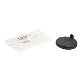 Headlight Retaining Ring Diamond 100 77364361