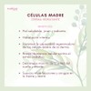 FLORIGAN Crema Hidratante Versátil CÉLULAS MADRE 110grs. FLORIGAN