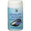 Avitale Green-Lipped Mussel Vegi Capsules Pack of 60 – Pack