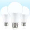 Neporal Full Spectrum Light Bulb, 6000K Natural Sunlight Bulbs, Cool