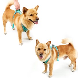No Pull Dog Harness Adjustable Reflective Adjustable Breathable Vest Soft Mesh Padded Pet Harness with Metal Leash Hooks Easy Control Handle for Small to Large Dogs [Easy to Put on & Take Off]