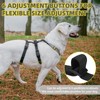 PUPTECK Escape Proof Dog Harness - No Pull Soft Padded