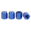 UHDFBDHF 4 PCS Titanium Metal Tire Valve Stem Caps, Dust