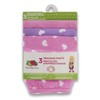 Fruit of the Loom girls Toddler 3-Pack Training Pants, 3