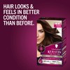 Schwarzkopf Keratin Color Permanent Hair Color, 4.6 INTENSE COCOA, 1