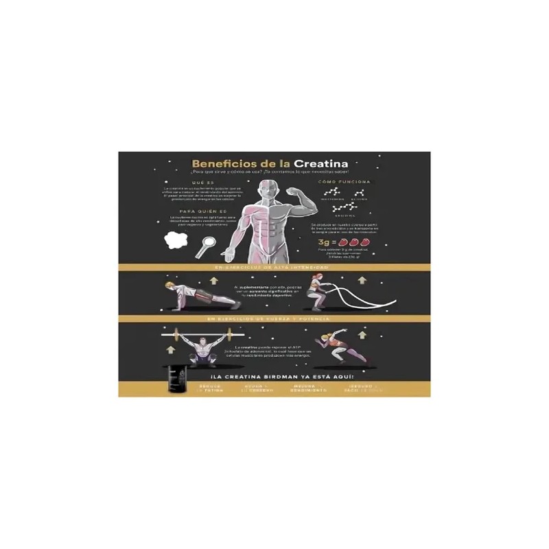 Birdman Performance Creatina Monohidratada 700g 140 Servi