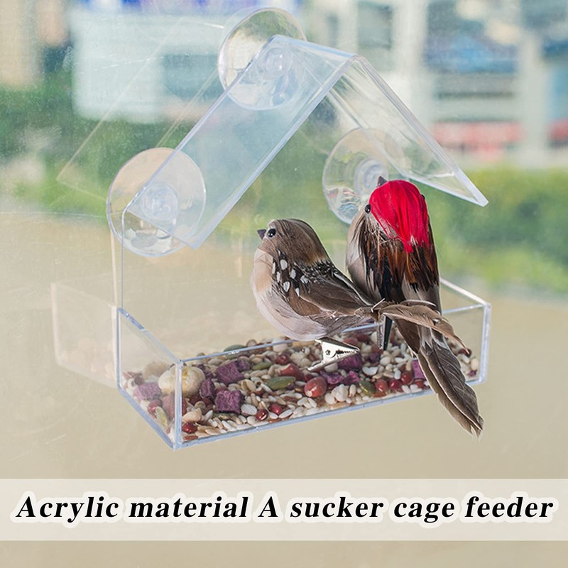 Winfred Window Bird Feeder with 3 Extra Strong Suction Cups