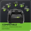 Greenworks Pro 60V Ultra Power 6A Rapid Charger - Works