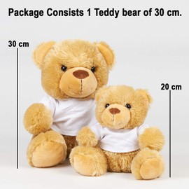 Giftme No Not Today Snoopy Dog Birthday, Christmas, Secret Santa Stocking Filler Teddy Bear Soft toys. (Brown Teddy)