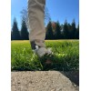 Lunas Print SHop Found it - Golf Ball Ankle holder