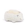 Sleeping Hedgehog Soap Dish