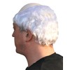 City Costume Wigs Balding Men's Wig with a Rubber Top,
