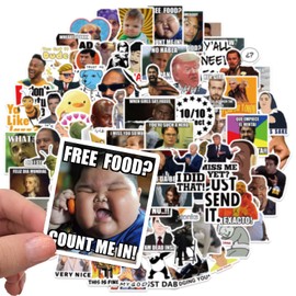 100Pcs Funny Memes Stickers Vinyl Waterproof Laptop Water Bottles Hydro Flasks Skateboard Computer Motorcycle Car Luggage,Internet Trendy Stickers Decals for Teens Boys Adults