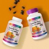 Holidays Large Size Lutein Max 210 Capsules 1 Bottle (7-Month