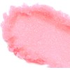 Palladio Exfoliante Labial Hidratante con Sandía, Coco y Vitamina E