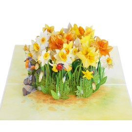 Birthday Card Pop Up | 3D Mothers Day Anniversary Thank You Thinking of You for Women Mom Grandma (Size 15x20 cm - Daffodils Robin Ladybug)