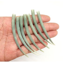 PEPPERLONELY 10 PC Smooth Green Tusk Sea Shells, Beach Wedding Nautical Decor Crafts, 2-1/4Inch~ 2-3/4 Inch